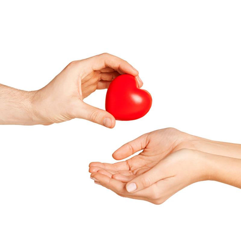 Organ Donation – A Critical Aspect