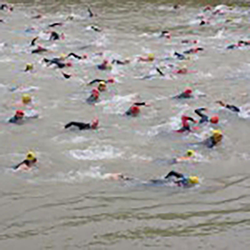 Triathlon Swimmers