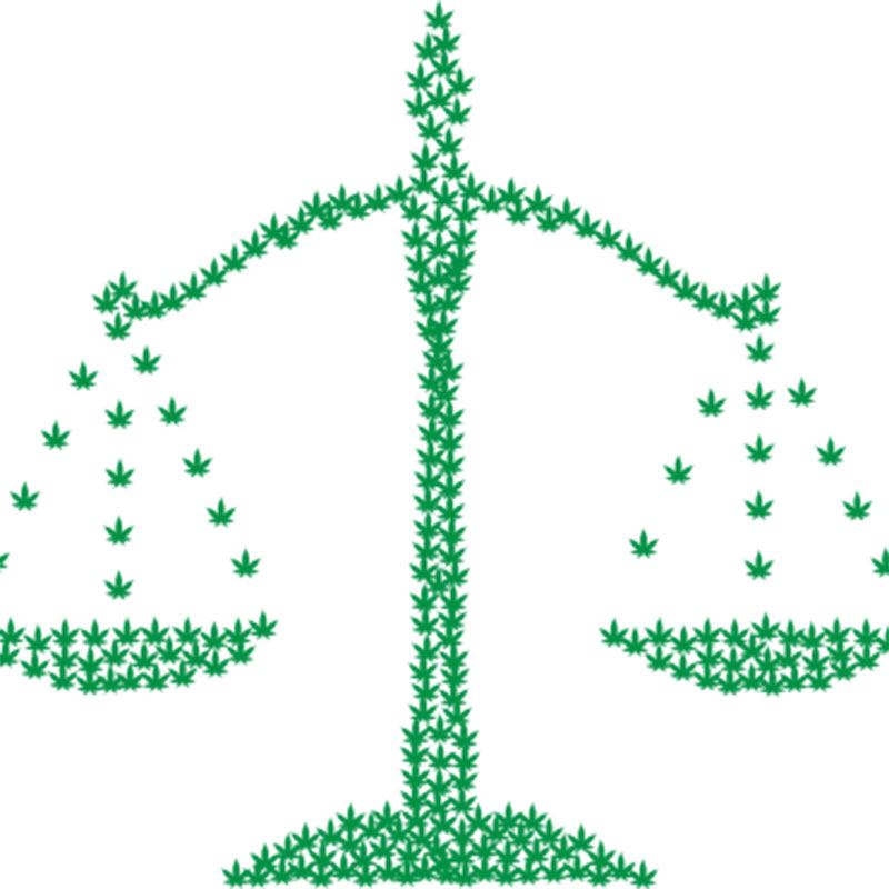 marijuana law