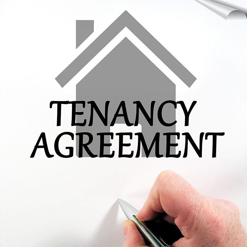 landlord tenant rights